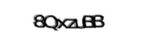 Security check image, please type the characters shown