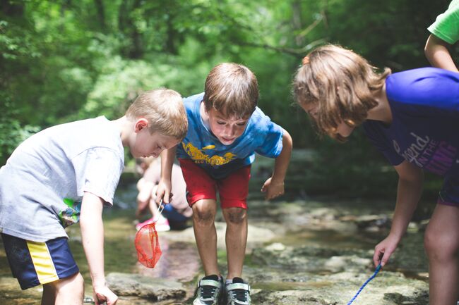 Children explore the stream at day camp at Glen Helen Nature Preserve in Yellow Springs, OH. 