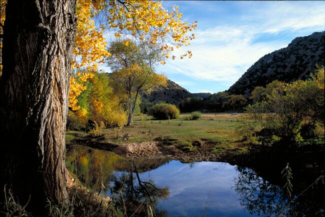 nm_chimayo_07212009_07.jpg