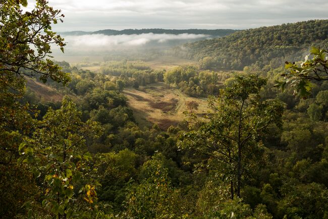 A view of a misty valley