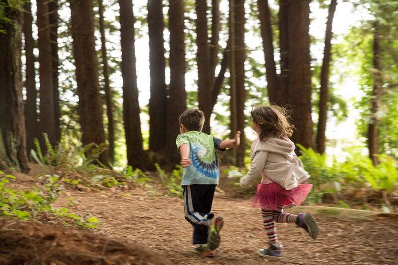Two young children running in a redwood forest