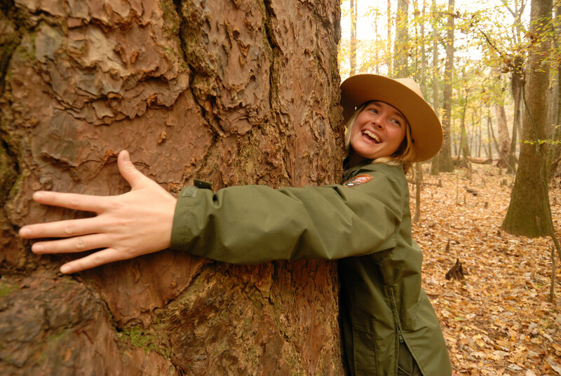 A park ranger wraps her arms around a tree