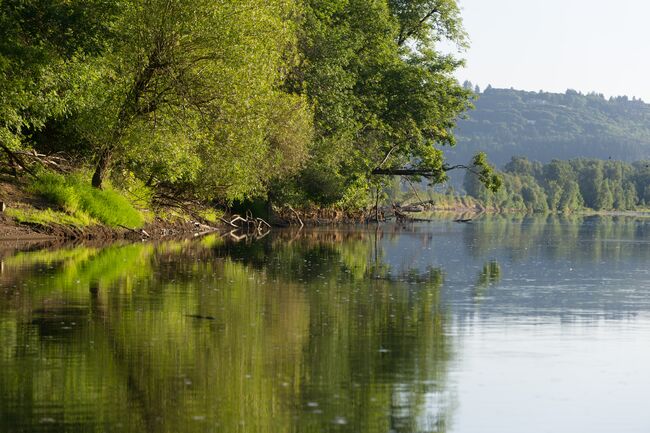 Hayden Island shoreline