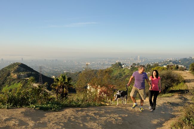 A couple walk their dog on a ridge trail